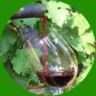 Bulgarian Wine Tours