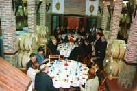 TODOROFF wine tasting